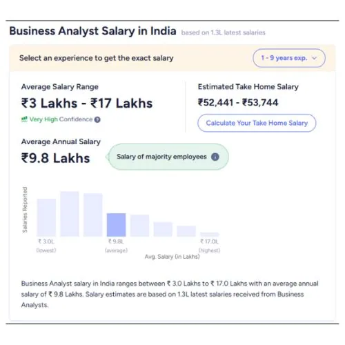Business analyst