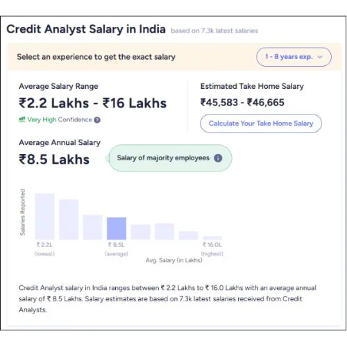 Credit analyst