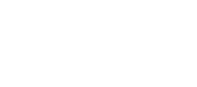 LOGO TWSS.png